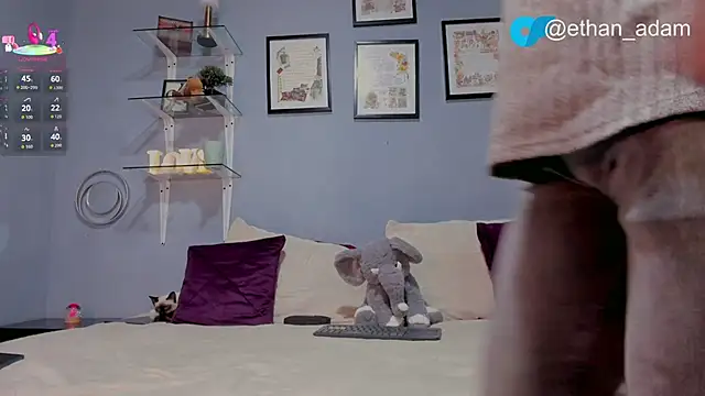 ETHAN ADAM online show from 02-05-26, 12:50