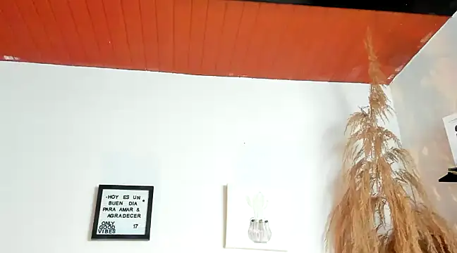 Pamelabru online show from 01-18-25, 02:02