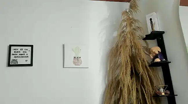 Pamelabru online show from 01-14-25, 11:37