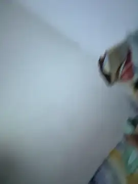 SweetBonniie online show from 11-03-25, 12:05