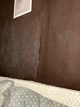 Snapshot of Alisa_Rise chatting on 11-17-25, 03:05 Alisa Rise online show from 11-17-25, 03:05