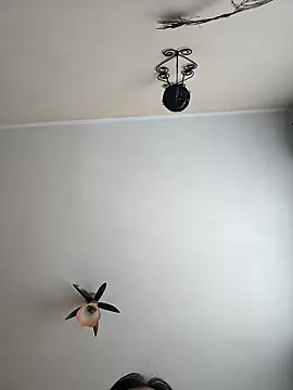 vulpe8400 online show from 04-18-26, 09:00