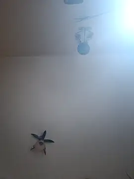 vulpe8400 online show from 04-07-26, 10:33