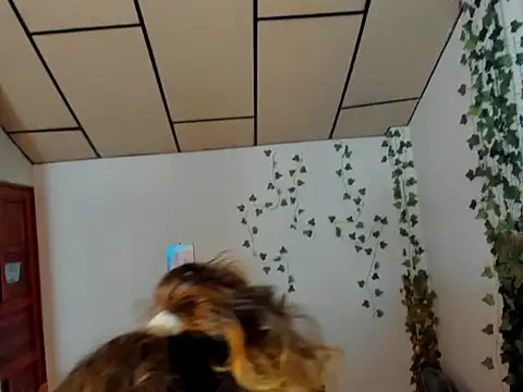 fulfill fantasies1 online show from 02-17-26, 12:57