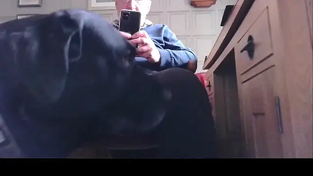 Adamdaddybear online show from 03-21-25, 02:51