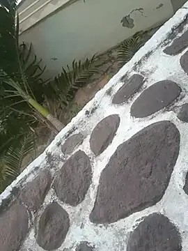 Snapshot of elcobin chatting on 03-18-25, 05:23 elcobin online show from 03-18-25, 05:23