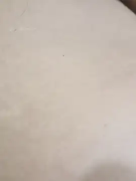 Snapshot of elcobin chatting on 09-24-25, 07:37 elcobin online show from 09-24-25, 07:37