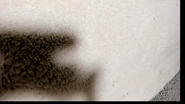 Brock hurn1 online show from 09-15-25, 02:01