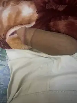 hamed-697 online show from 02-19-25, 06:44