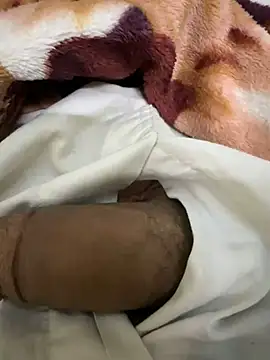 hamed-697 online show from 12-09-24, 11:24