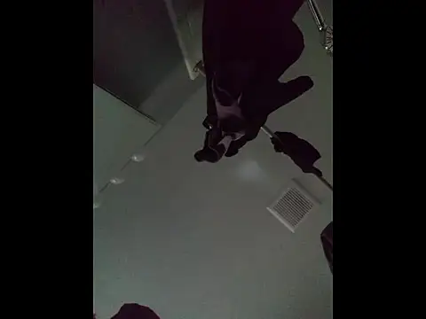 DevinToore online show from 04-05-26, 12:50