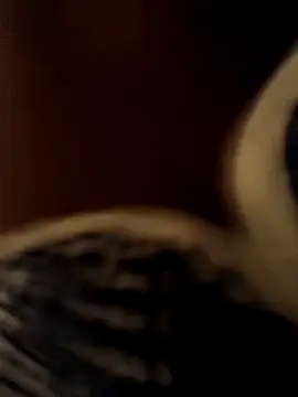 Crazybitchtheanalgoddess4 online show from 03-20-26, 07:04