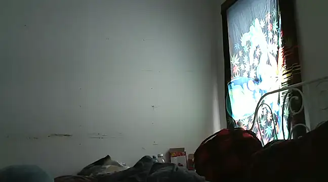Snapshot of wild_hot_mess chatting on 01-19-25, 06:32 wild hot mess online show from 01-19-25, 06:32