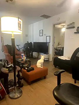 PEGATIVET online show from 09-29-25, 09:20