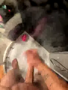 lescro95  online show from 10-04-25, 05:47