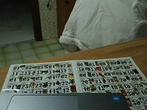 VeneRed online show from 11-17-25, 07:51