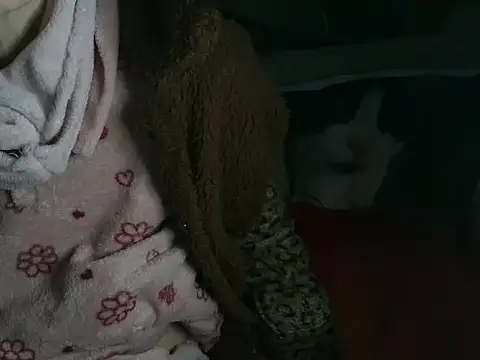 VeneRed online show from 03-16-26, 09:28