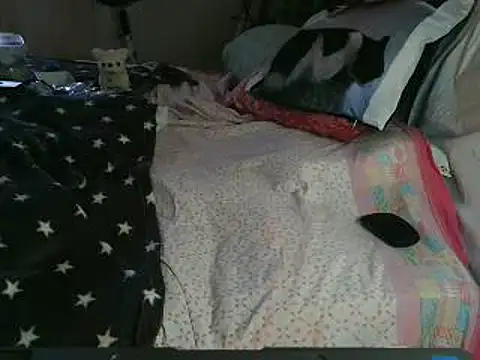 VeneRed online show from 03-26-26, 11:08