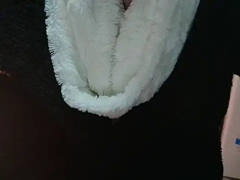 VeneRed online show from 03-31-26, 06:10