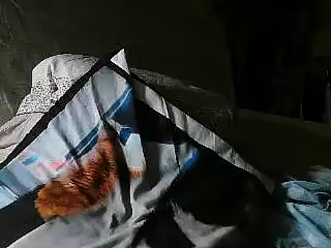 Snapshot of VeneRed chatting on 07-02-26, 08:26 VeneRed online show from 07-02-26, 08:26