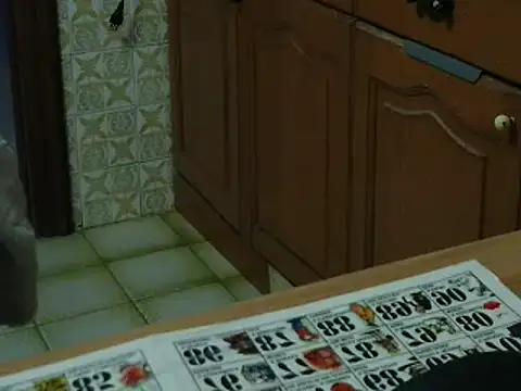 VeneRed online show from 11-16-25, 05:28