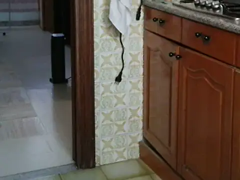 VeneRed online show from 10-14-25, 08:15