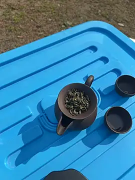 CN-Shanshan online show from 02-01-26, 04:00