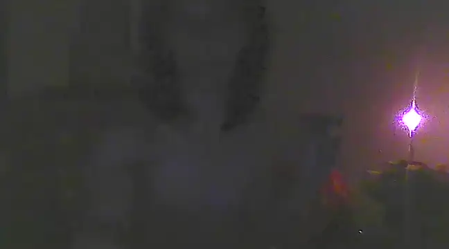 Just Gabriella online show from 03-19-25, 10:33