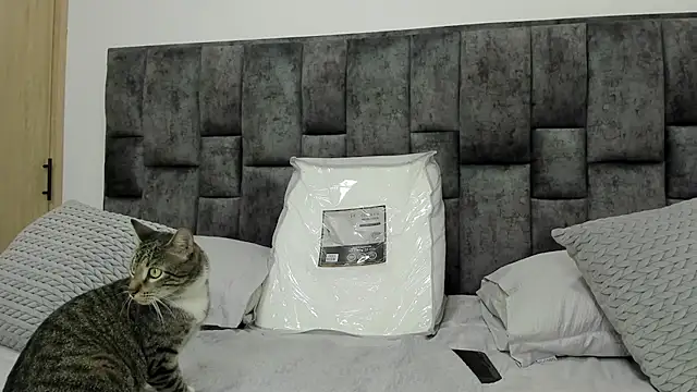 BastianFerrari online show from 12-18-24, 10:02