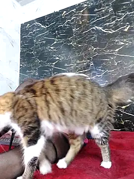 crislingery dolli online show from 10-12-25, 01:45