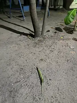 Erick-90 online show from 02-21-26, 06:26