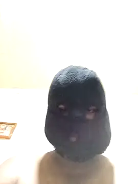 Nogeris20 online show from 11-06-25, 03:16