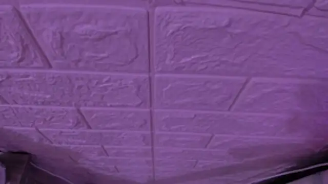 gabyye capprins online show from 11-15-25, 11:53