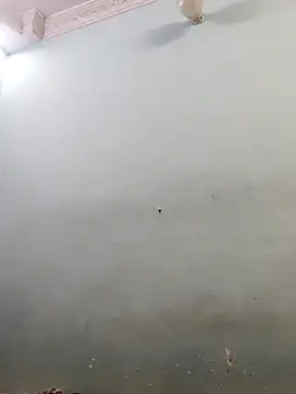 Snapshot of Sania-Love chatting on 02-01-26, 09:46 Sania-Love online show from 02-01-26, 09:46