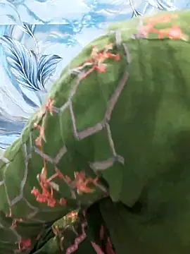 Snapshot of Sania-Love chatting on 02-11-26, 11:15 Sania-Love online show from 02-11-26, 11:15