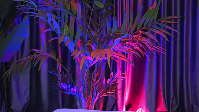 Snapshot of LaraSin chatting on 12-30-24, 01:15 LaraSin online show from 12-30-24, 01:15