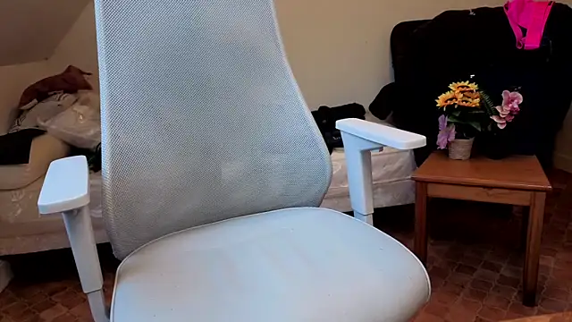 Snapshot of SteveStiffbone chatting on 02-16-26, 02:37 SteveStiffbone online show from 02-16-26, 02:37