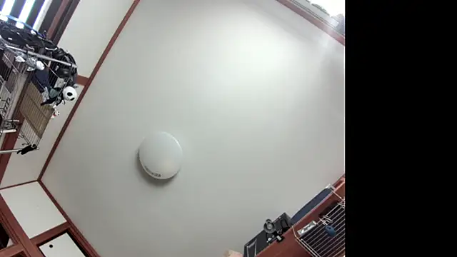 tuki fu online show from 12-08-24, 03:07