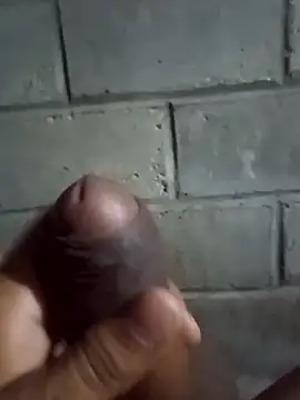 ga213333 online show from 01-11-26, 08:32