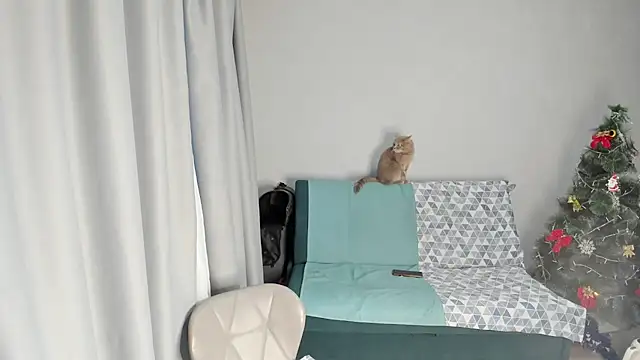 elis gabbi online show from 12-19-25, 08:49