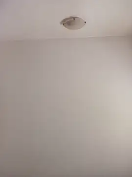 Virgin Pussy Love online show from 12-05-25, 12:48