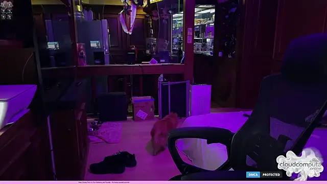 bearcloudcomputa online show from 03-01-26, 08:36