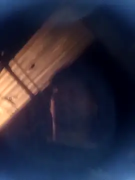 jeremiabello online show from 03-08-26, 02:04