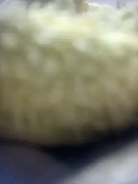 jeremiabello online show from 04-11-26, 04:31