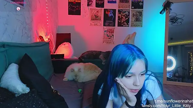 812sunflowerinahat online show from 01-12-25, 10:22