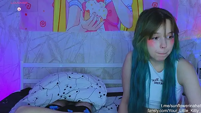 812sunflowerinahat online show from 12-26-24, 08:21