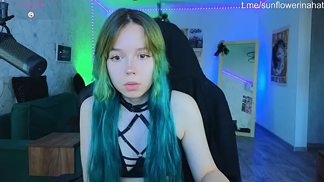 812sunflowerinahat online show from 12-19-24, 09:29