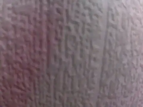 culalimer online show from 03-29-26, 10:50