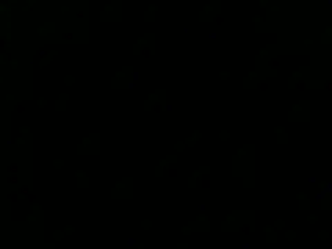 Snapshot of culalimer chatting on 11-15-25, 01:26 culalimer online show from 11-15-25, 01:26