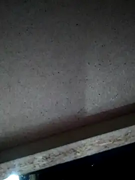 Leocesar37 online show from 11-15-25, 04:49